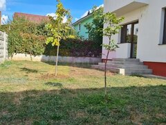 Vila individuala Bragadiru